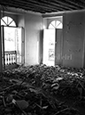 %_tempFileNamelpeirl_BaylaucqPhotos_010%