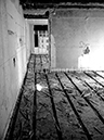 %_tempFileNamelpeirl_BaylaucqPhotos_013%