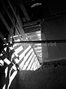 %_tempFileNamelpeirl_BaylaucqPhotos_017%