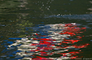 %_tempFileName2015-09-03-FFA-aviron-championnat-du-monde-aiguebelette-(c)avironfrance-lionel-piquard-0244%