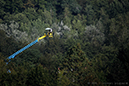 %_tempFileName2015-09-04-FFA-aviron-championnat-du-monde-aiguebelette-(c)avironfrance-lionel-piquard-0555%