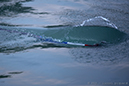 %_tempFileName2015-09-06-FFA-aviron-championnat-du-monde-aiguebelette-(c)avironfrance-lionel-piquard-4225%